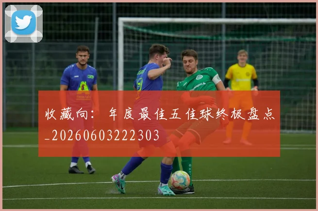 收藏向:年度最佳五佳球终极盘点_20260603222303