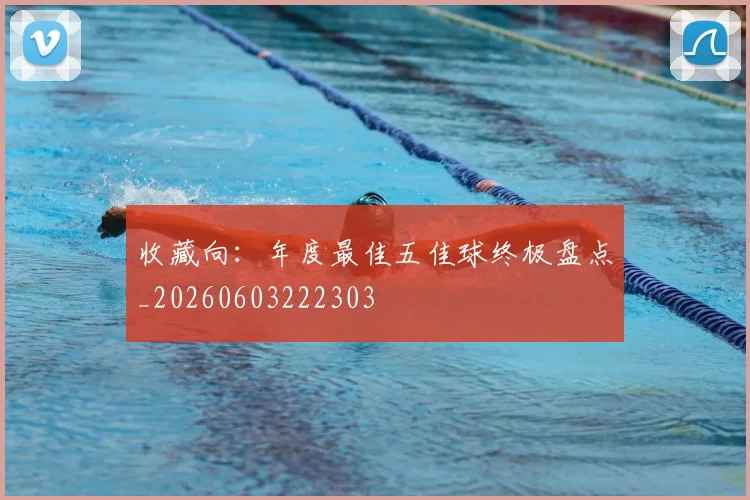 收藏向：年度最佳五佳球终极盘点_20260603222303